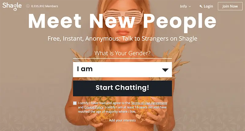 Shagle Website Screenshot